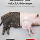 ⏰🔥 ¡50% DE DESCUENTO POR TIEMPO LIMITADO! 🐖✨ Disco Raspador para Quitar Pelo de Cerdo – Ahorra Esfuerzo y Tiempo 💪🌟