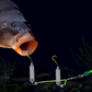 🎣⚡ ¡Aparejo de fondo inverso con doble anzuelo! La versión mejorada aumenta la tasa de conexión en un 50%: ¡dile adiós a los enganches! 🎣