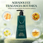 💇‍♀️ Set de Tintes para el Cabello de Larga Duración – Cobertura Completa de Canas sin Dañar el Cuero Cabelludo ✨🌈
