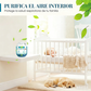 🌿 Caja Mágica para Eliminación de Polvo y Purificación de Aire en Interiores – Aire Fresco y Saludable para tu Hogar 🏠✨