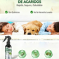 ⏰🔥 ¡Oferta Especial 50% OFF! 🐜 Power Repelente de Insectos – Control Instantáneo de Mosquitos y Moscas, Suave para la Piel 🌿🧴