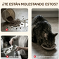 ⏰🔥 ¡Oferta Especial 50% OFF! 🐾 Comedero Elevado Antideslizante – 3 Cuencos para Alimentar a tus Mascotas con Comodidad ✨🍖
