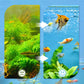 🐠✨ Espuma de Filtro Profesional 8D de Alta Densidad para Peceras – Filtración Eficiente, Agua Limpia y Saludable para tus Peces 🐟💧