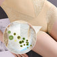 ⏰🔥 ¡OFERTA 50% OFF! 👗✨ Bragas Reductoras de Cintura Alta para Mujer – Control de Abdomen y Efecto Realce de Glúteos sin Costuras 🍑💖