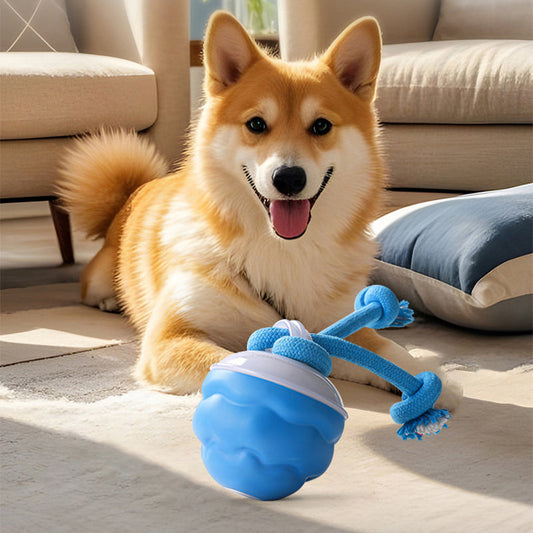 🐾 ¡Mitad de Precio! Pelota Interactiva para Mascotas – Juguete Calmante, Ideal para Perros y Gatos 🎉🎁