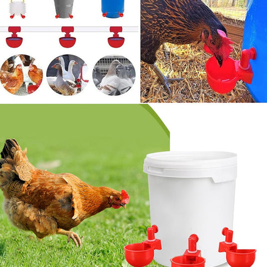 ⏰🔥 ¡50% DE DESCUENTO POR TIEMPO LIMITADO! 🐔 Bebedero Automático para Aves – Fácil de Instalar y Mantén Siempre Agua Limpia 💧✨