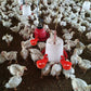 ⏰🔥 ¡50% DE DESCUENTO POR TIEMPO LIMITADO! 🐔 Bebedero Automático para Aves – Fácil de Instalar y Mantén Siempre Agua Limpia 💧✨