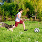 🐕⚽ Juguete de Fútbol Interactivo para Perros – Resistente, Divertido y Perfecto para Jugar al Aire Libre 🎉🐾✨