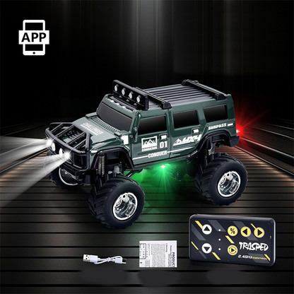 🔋 ¡OFERTA ESPECIAL 2025! ¡50% DE DESCUENTO! ✨ Mini camión todoterreno RC con luces
