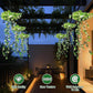 ⏰🔥 ¡OFERTA 50% OFF! 🌿✨ Luz Colgante Solar de Hiedra Artificial – Jardín Encantador, Iluminación Cálida y Decoración Exterior Sin Cables 🏡💡