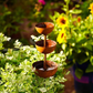 🕊️🌿 ¡OFERTA 50% OFF! Comedero y Bebedero para Pájaros de Jardín – Diseño Rústico