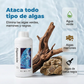 ⏰🔥 ¡ÚLTIMO DÍA DE REBAJAS CON UN 50 % DE DESCUENTO! 🐠 Eliminador de algas de acción rápida para acuarios: seguro, rápido y fácil de usar 💦✨