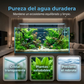 ⏰🔥 ¡ÚLTIMO DÍA DE REBAJAS CON UN 50 % DE DESCUENTO! 🐠 Eliminador de algas de acción rápida para acuarios: seguro, rápido y fácil de usar 💦✨