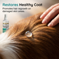 🐶✨ ¡OFERTA 50% OFF! Spray de Cuidado para Mascotas – Cicatrización Rápida y Alivio de Piel