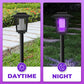 🦟☀️ ¡OFERTA 50% OFF! Matamoscas Solar para Exterior con Doble Luz – Control Inteligente de Mosquitos
