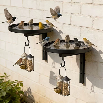 🐦✨ ¡OFERTA 50% OFF! Bañera y Comedero para Pájaros de Pared – Decoración y Vida para tu Jardín