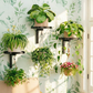 🐦✨ ¡OFERTA 50% OFF! Bañera y Comedero para Pájaros de Pared – Decoración y Vida para tu Jardín