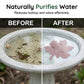⏰🔥 ¡50% OFF por tiempo limitado! 🐦 Purificador de Agua para Bebedero de Pájaros – Agua Limpia y Natural