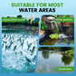 🐟💧 ¡OFERTA 50% OFF! Tabletas Desinfectantes para Estanques y Acuarios – Agua Cristalina y Peces Más Saludables ✨
