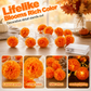 🎃✨ ¡OFERTA 50% OFF! Luces LED de Caléndula para Halloween – Guirnalda Floral Brillante para Decoración Otoñal, Porche y Hogar 🧡🌼