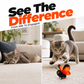 ⏰🔥 ¡OFERTA 50% OFF! 🐱🦋 Juguete Automático de Mariposa para Gatos – Diversión Interactiva que Activa su Instinto de Caza y Combate el Aburrimiento 🐾✨