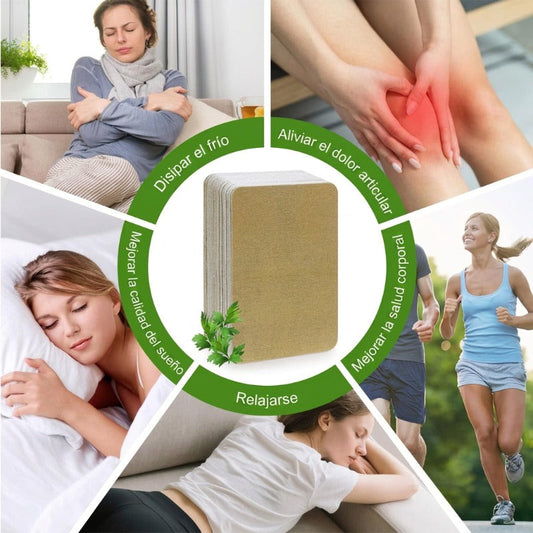 🔥🌿 ¡OFERTA 50% OFF! Parches de Jengibre para Alivio del Dolor – Calor Natural y Relajación